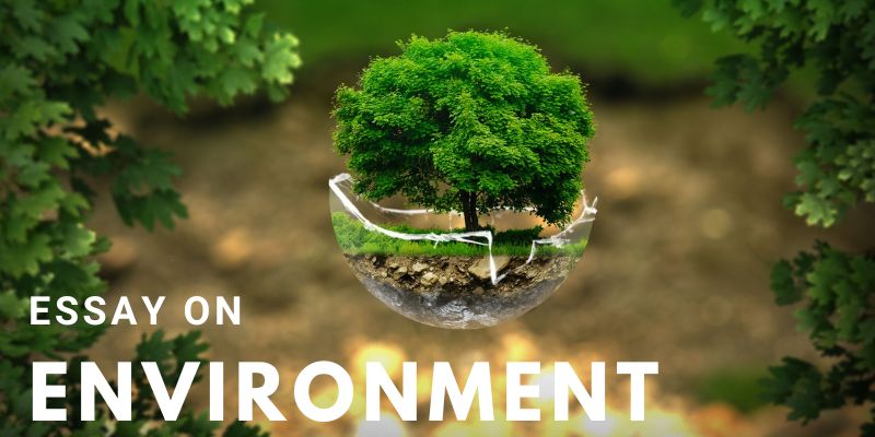 Read more about the article Essay on Environment