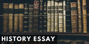 Read more about the article History Essay