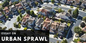Read more about the article Essay On Urban Sprawl