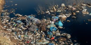 Read more about the article Essay On Water Pollution