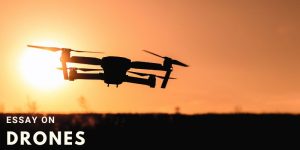 Read more about the article Essay on Drones
