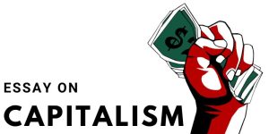 Read more about the article Essay on Capitilism