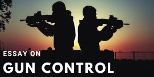 Read more about the article Essay on Gun Control