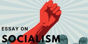 Read more about the article Essay on Socialism